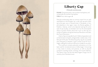 Sample content 5_Mushroom Miscellany