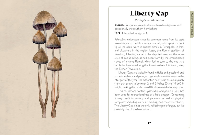 Sample content 5_Mushroom Miscellany