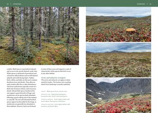 Sample content_Mushrooms of Alaska