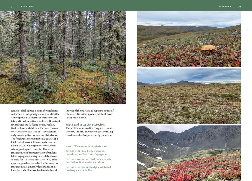 Sample content_Mushrooms of Alaska