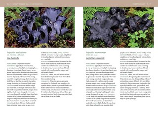 Sample content 2_Mushrooms of Alaska