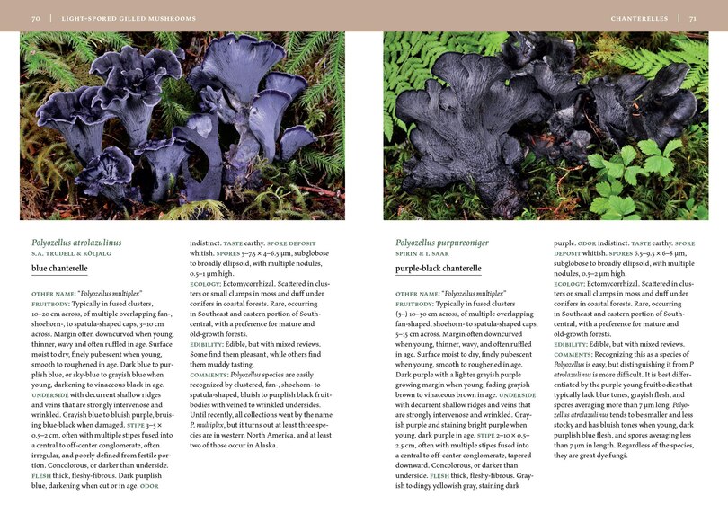 Sample content 2_Mushrooms of Alaska