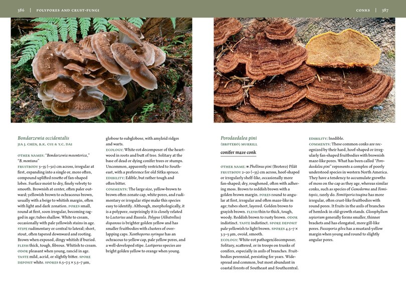 Sample content 3_Mushrooms of Alaska