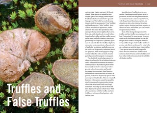 Sample content 4_Mushrooms of Alaska