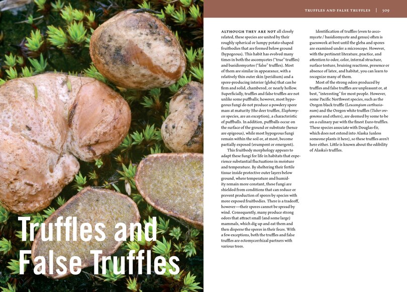 Sample content 4_Mushrooms of Alaska