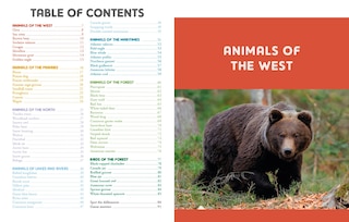 Sample content_My Big Book of Canadian Animals