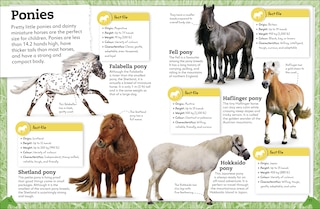 Sample content 3_My Book of Horses and Ponies