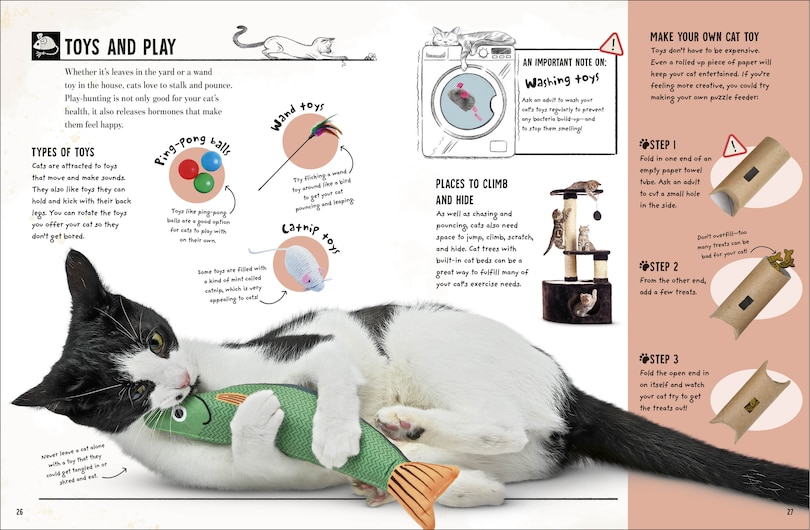 Sample content 2_My Cat