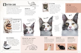 Sample content 3_My Cat