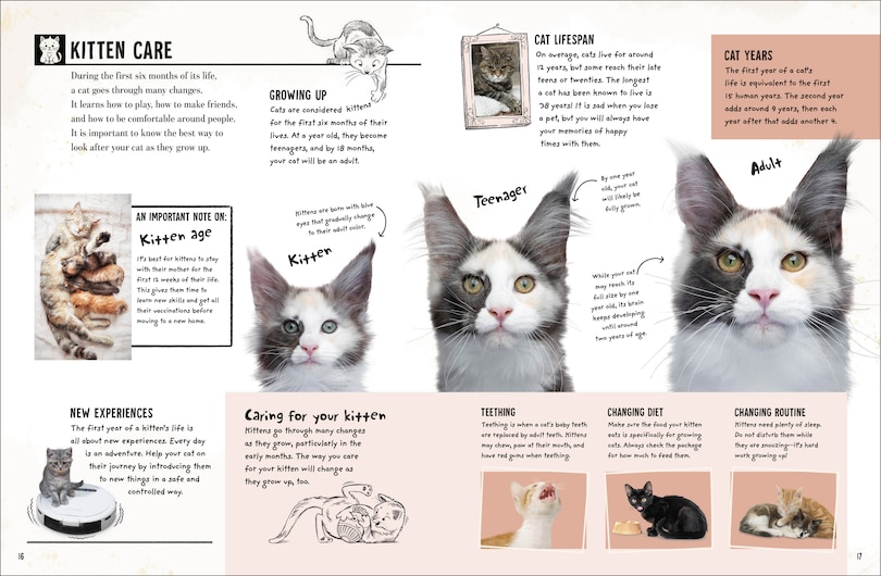 Sample content 3_My Cat