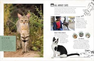 Sample content 4_My Cat