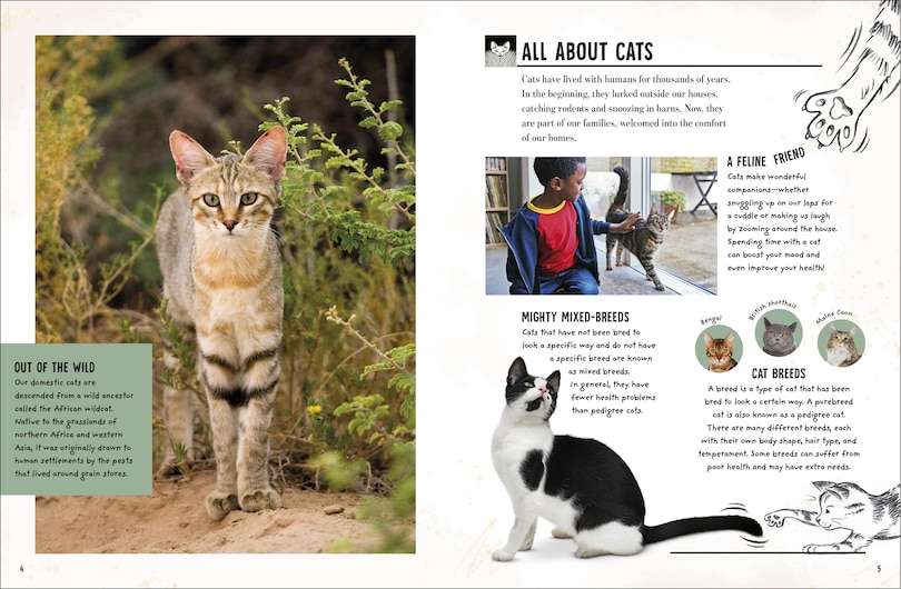 Sample content 4_My Cat