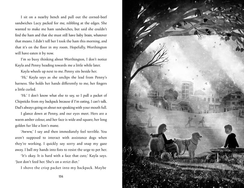 Sample content 2_My Dog