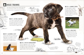 Sample content_My Dog