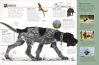 Sample content 2_My Dog