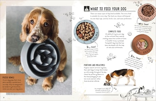 Sample content 3_My Dog