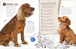 Sample content 4_My Dog