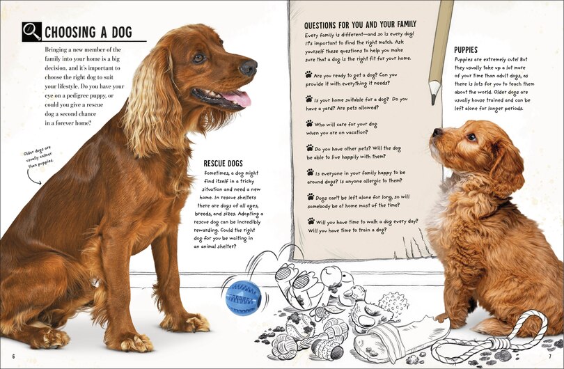 Sample content 4_My Dog