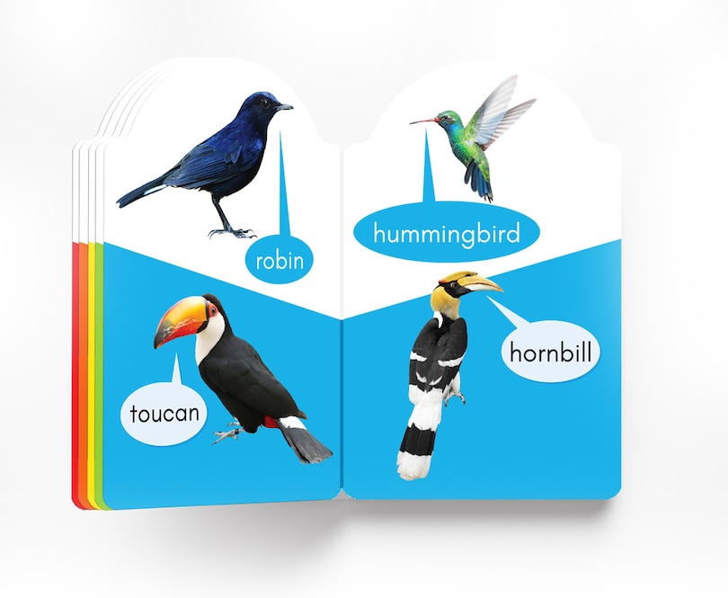 Aper&ccedil;u du contenu_My Early Learning Book of Birds
