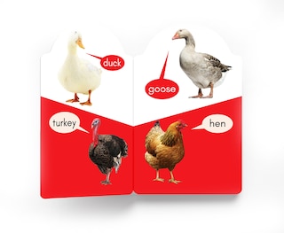 Aper&ccedil;u du contenu 2_My Early Learning Book of Birds