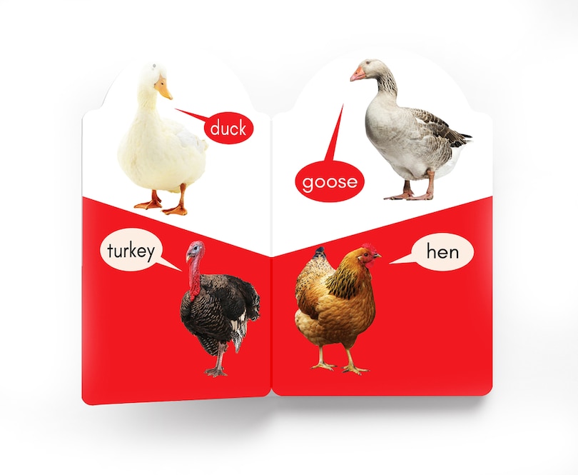 Aper&ccedil;u du contenu 2_My Early Learning Book of Birds
