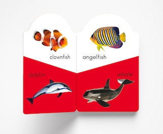 Aper&ccedil;u du contenu_My Early Learning Book of Sea Animals
