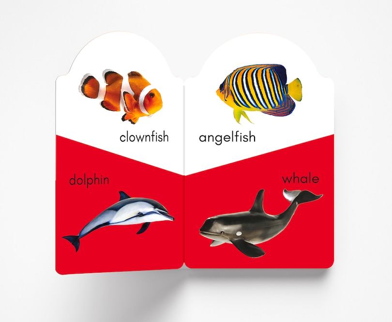 Aper&ccedil;u du contenu_My Early Learning Book of Sea Animals