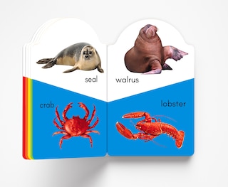 Aper&ccedil;u du contenu 2_My Early Learning Book of Sea Animals