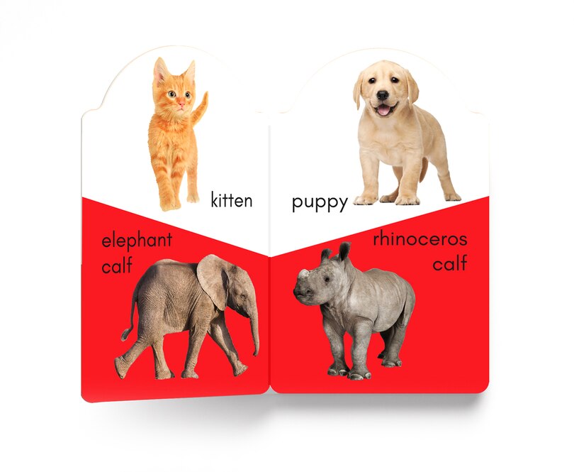 Aper&ccedil;u du contenu_My Early Learning Book of Baby Animals
