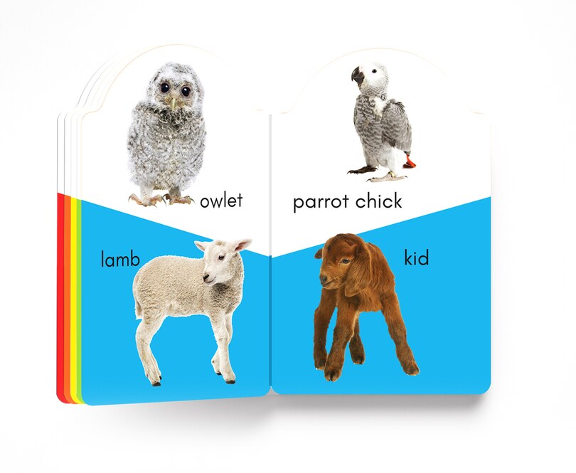 Aper&ccedil;u du contenu 2_My Early Learning Book of Baby Animals