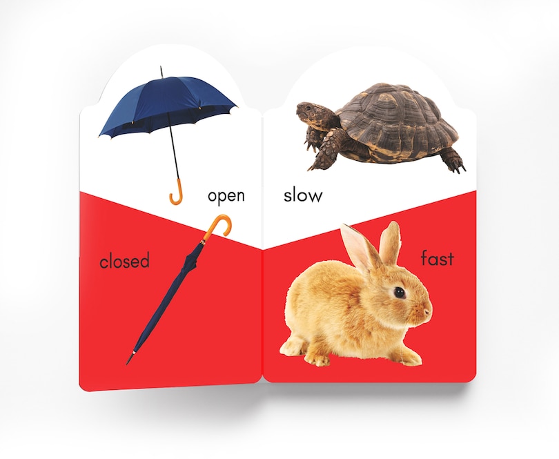 Aper&ccedil;u du contenu_My Early Learning Book of Opposites