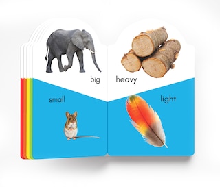 Aper&ccedil;u du contenu 2_My Early Learning Book of Opposites