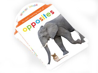Aper&ccedil;u du contenu 3_My Early Learning Book of Opposites