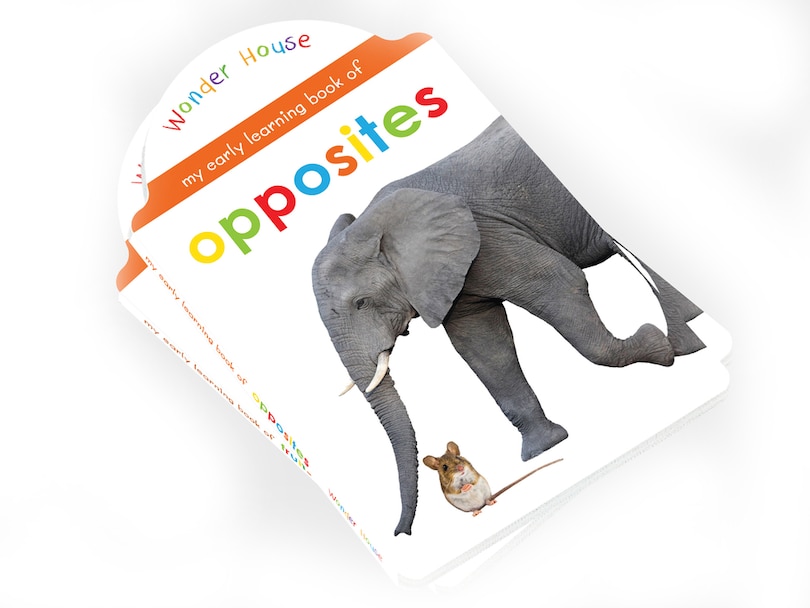 Aper&ccedil;u du contenu 3_My Early Learning Book of Opposites