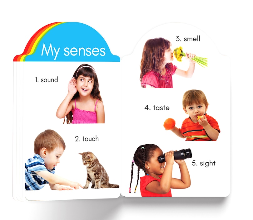 Aper&ccedil;u du contenu_My Early Learning Book of About Me