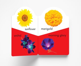 Aper&ccedil;u du contenu_My Early Learning Book of Flowers