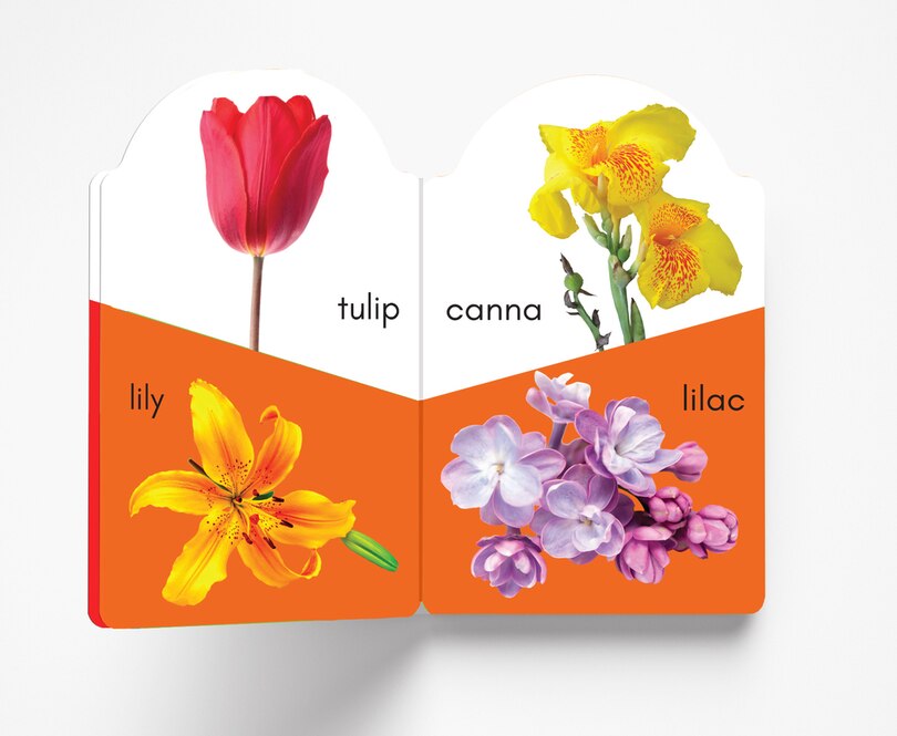 Aper&ccedil;u du contenu 2_My Early Learning Book of Flowers