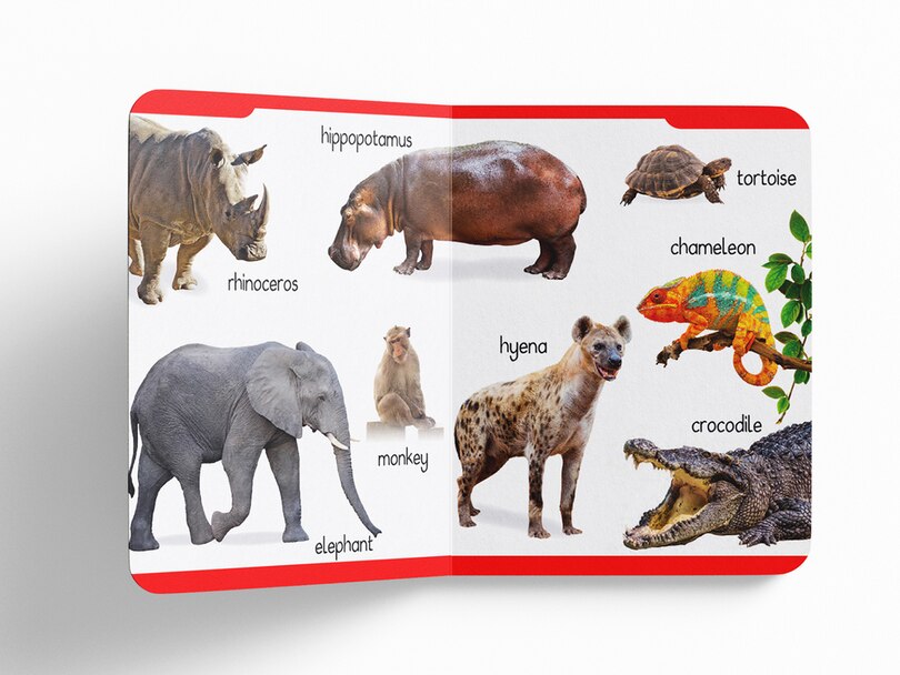 Sample content_My Early Learning Padded Book of Animals