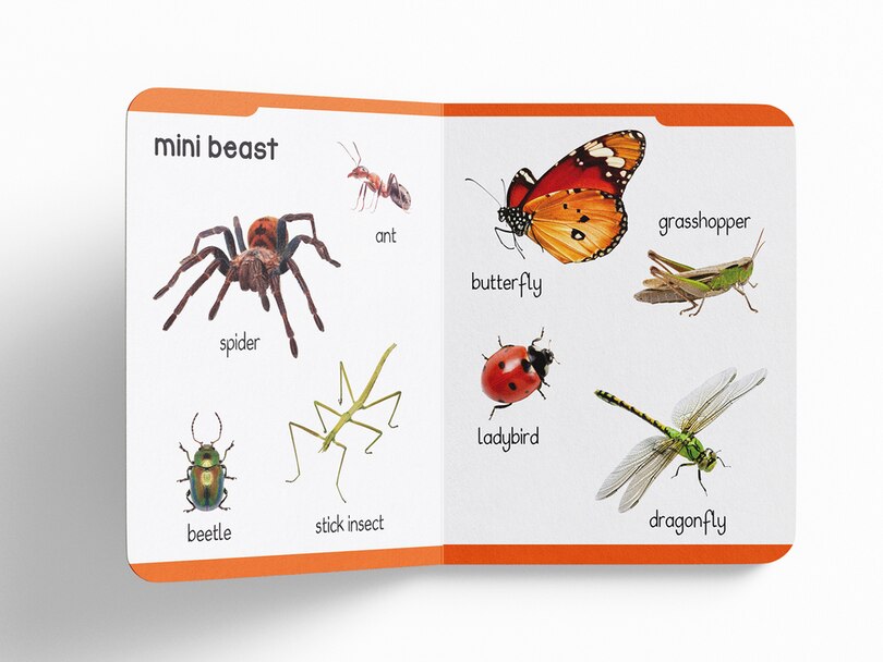 Sample content 2_My Early Learning Padded Book of Animals