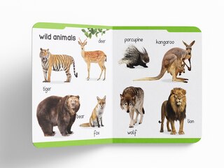 Sample content 3_My Early Learning Padded Book of Animals