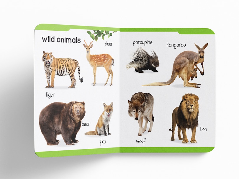Sample content 3_My Early Learning Padded Book of Animals