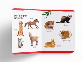 Sample content 4_My Early Learning Padded Book of Animals