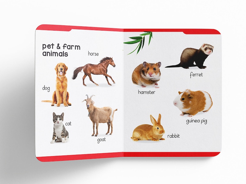 Sample content 4_My Early Learning Padded Book of Animals