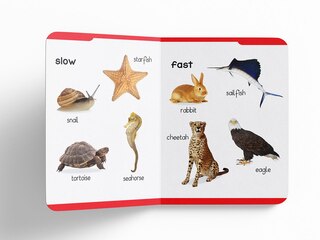 Aper&ccedil;u du contenu 4_My Early Learning Padded Book of Opposites