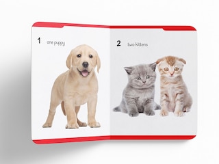 Aper&ccedil;u du contenu 4_My Early Learning Padded Book of Numbers