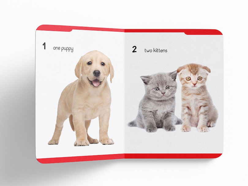 Aper&ccedil;u du contenu 4_My Early Learning Padded Book of Numbers