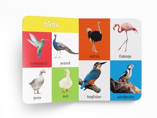 Aper&ccedil;u du contenu_My First 100 Animals and Birds Board Book : My 100 Library Series