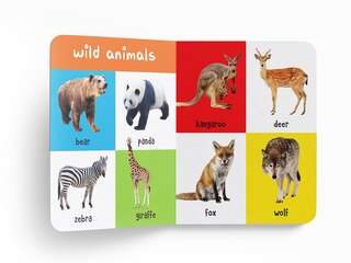 Aper&ccedil;u du contenu 2_My First 100 Animals and Birds Board Book : My 100 Library Series