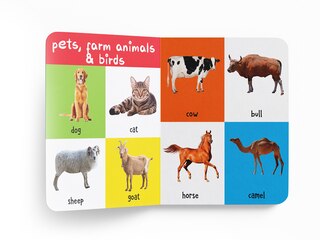 Aper&ccedil;u du contenu 3_My First 100 Animals and Birds Board Book : My 100 Library Series