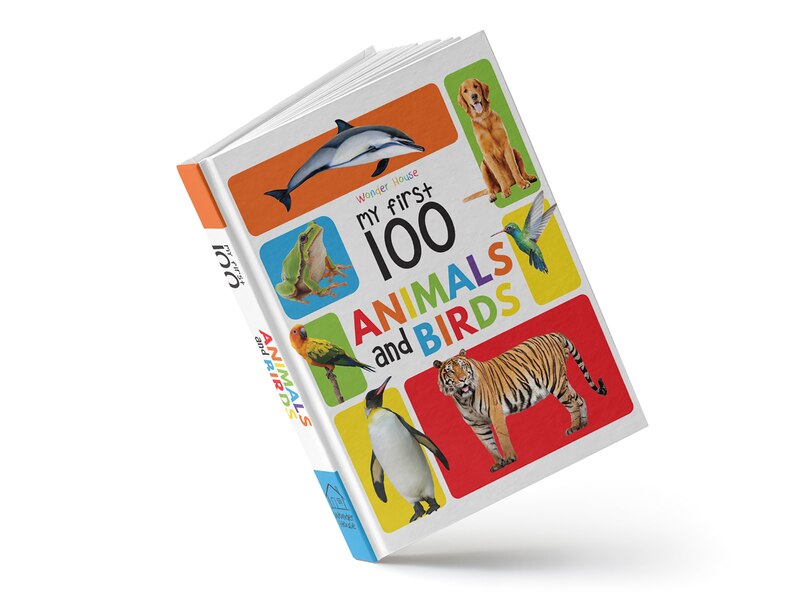 Aper&ccedil;u du contenu 5_My First 100 Animals and Birds Board Book : My 100 Library Series